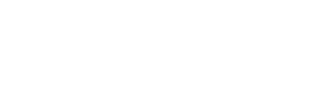 Knight Electric Bikes